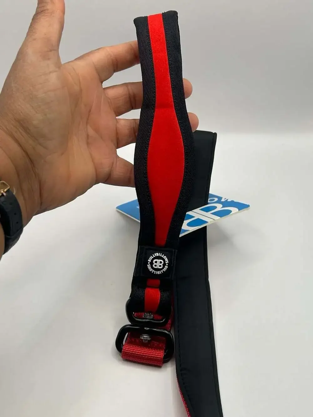 BullyBillows 1.2M Nylon Snap Lead Dog Leash - Red/Black